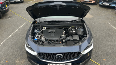 Mazda CX-30 2.5 e-Skyactiv G MHEV [140] Homura 5dr Petrol Hatchback